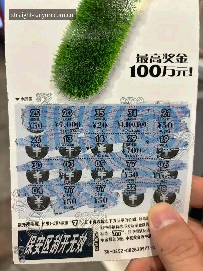 开云彩票替代官方入口功能详解 开云彩票替代入口实用指南:三步定位官方功能,避开95%的坑